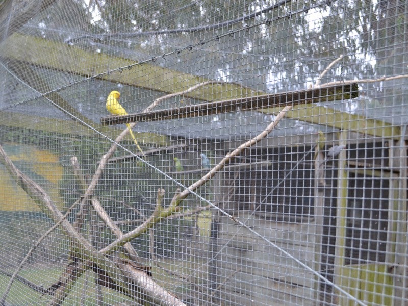 1487 Tram Road, Rangiora - Carousel 25