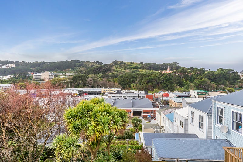 147 Tasman Street, Mount Cook, Wellington - Carousel 16