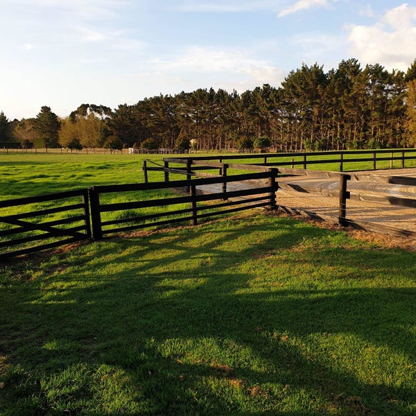 143 Percy Millen Drive, Waiau Pa, Pukekohe - Carousel 13