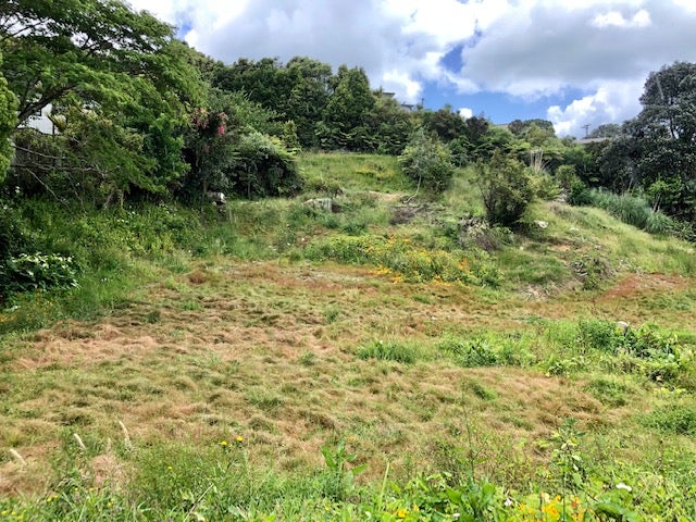 94 Braemar Road, Castor Bay, Auckland - Carousel 3