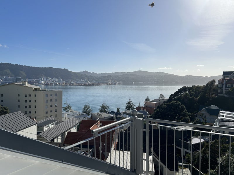 1/1 Wilkinson Street, Oriental Bay, Wellington - Carousel 2