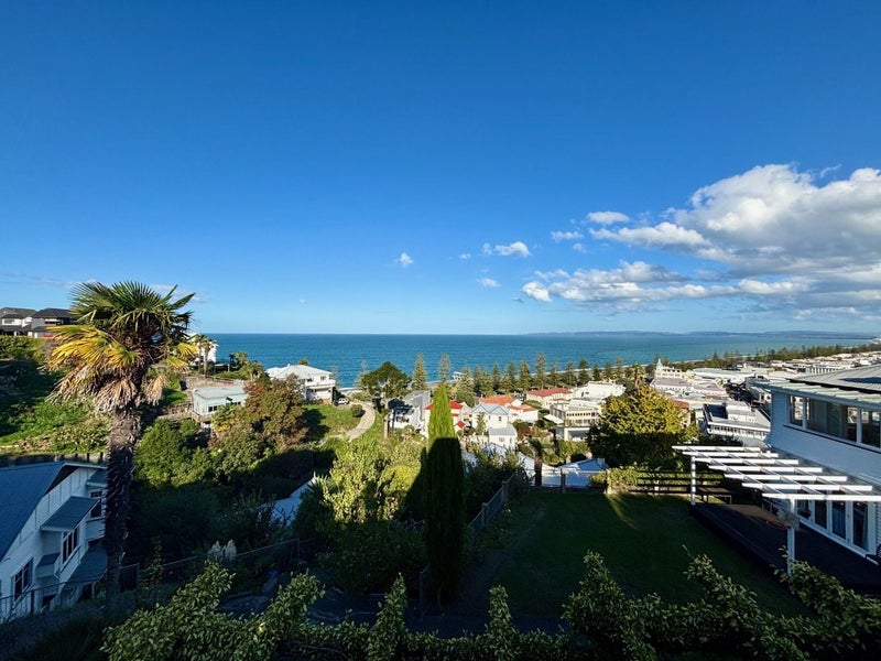 1B Onslow Road, Bluff Hill, Napier - Carousel 23