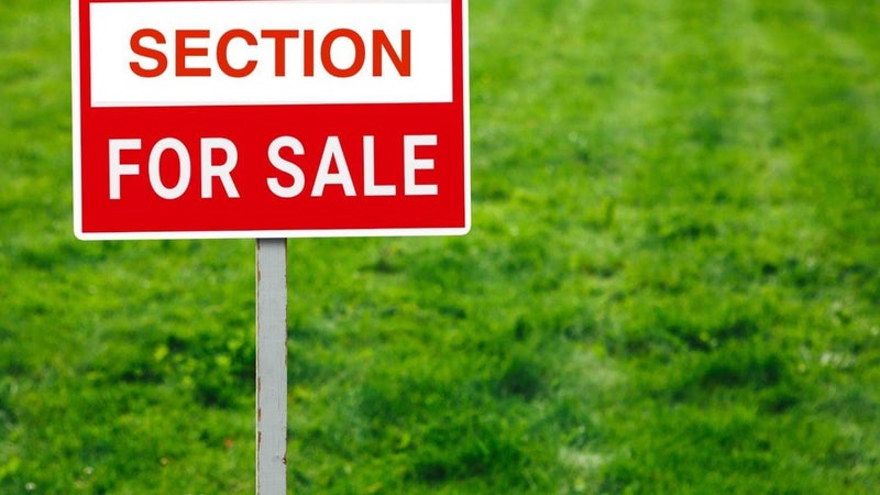 10A Kotiu Place, Massey, Auckland - Carousel 1