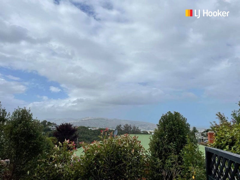 7D Springhill Road, Mornington, Dunedin - Carousel 8