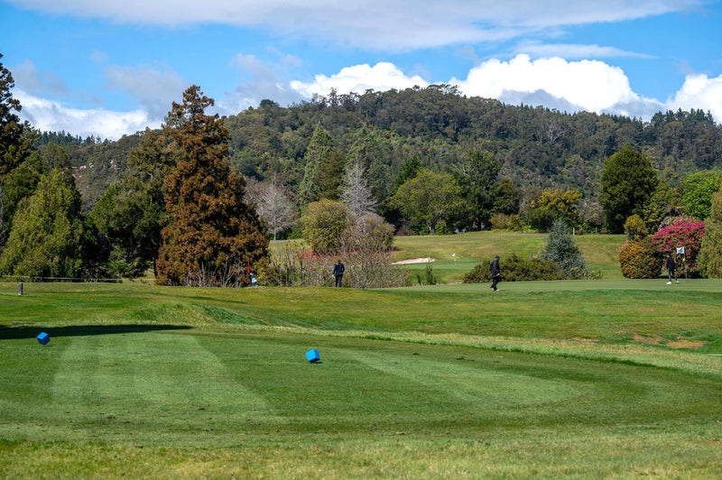 50 Sophia Street, Glenholme, Rotorua - Carousel 22