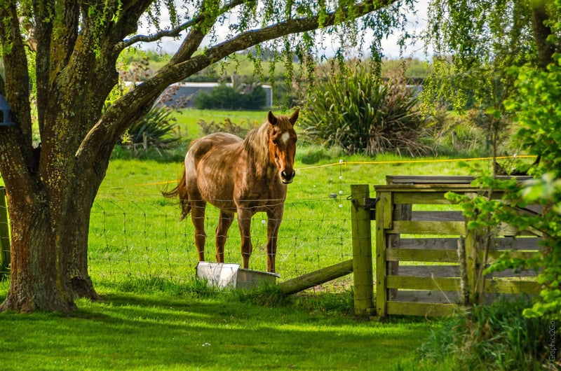 81 Wolfes Road, Christchurch - Carousel 34