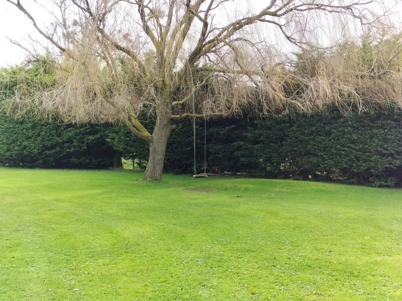 314 Te Ngaio Road, Bunnythorpe, Palmerston North - Carousel 16