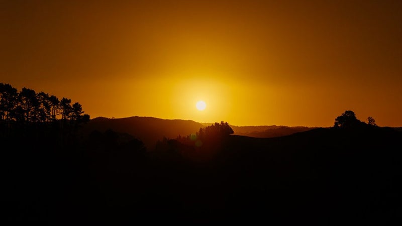 598 Poripori Road, Wairoa - Carousel 29