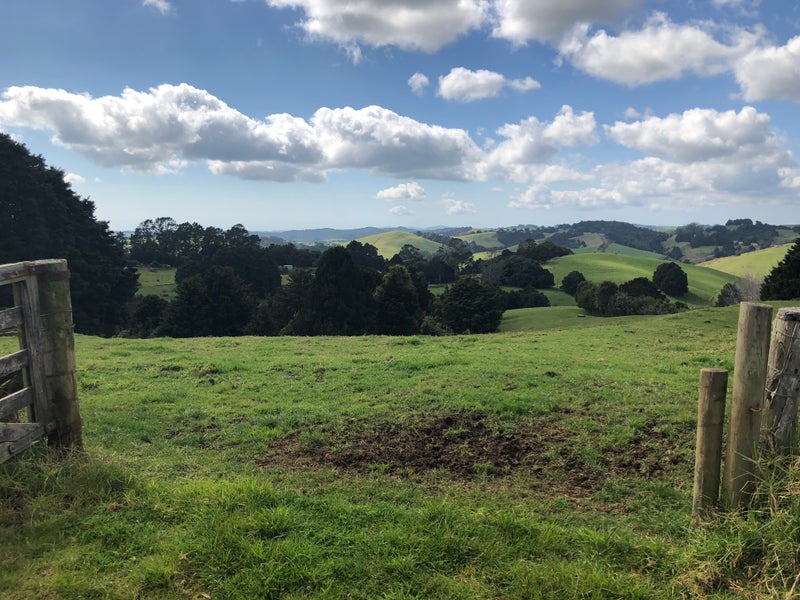 422 Hautapu Road, PAKARAKA, MOEREWA - Carousel 4