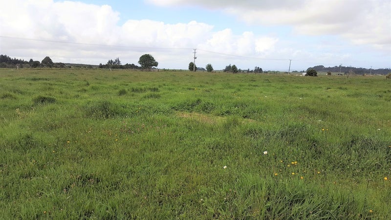 741 Wiroa Road, Okaihau, Okaihau - Carousel 1