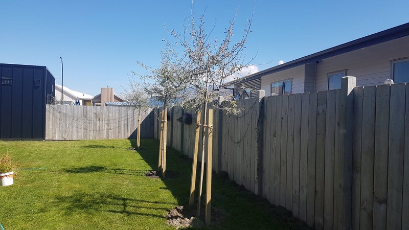 9 Myles WAY, Wakatipu Basin - Carousel 13