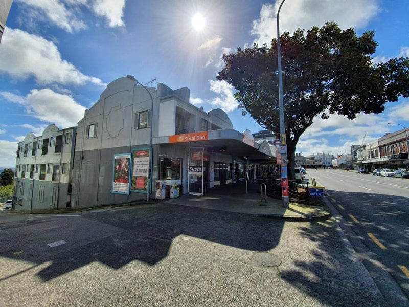 20 Boardman Lane, Auckland Central, Auckland - Carousel 1