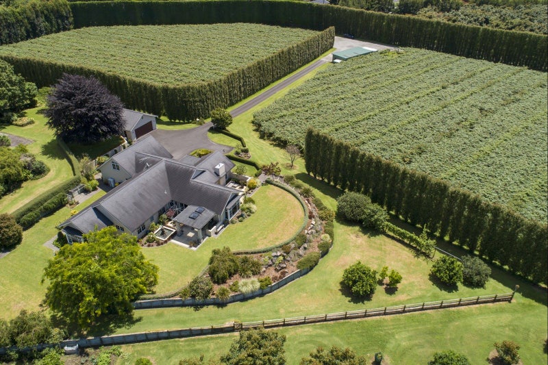 8/169 WAIROA ROAD, Wairoa, Tauranga - Carousel 1