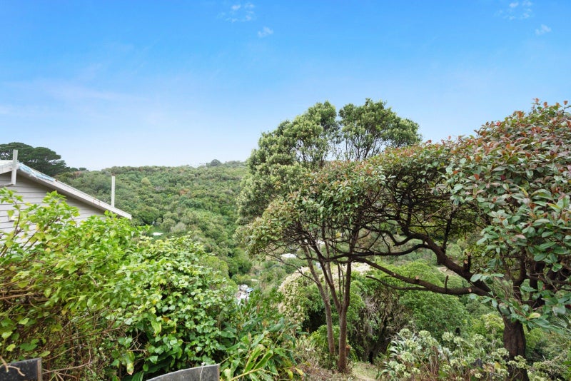 37 Mount Pleasant Road, Aro Valley, Wellington - Carousel 2