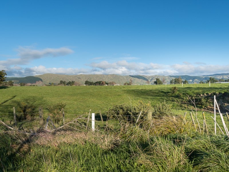 10 Bowen Street, Linton, Palmerston North - Carousel 10