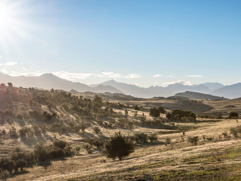 0 Miharo Lane, Queensberry, Cromwell - Carousel 5