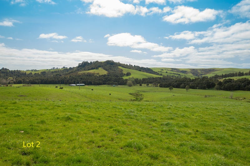 209 Tapu Bush Road, Whangaripo, Wellsford - Carousel 2