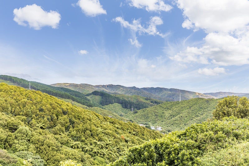 38 Landsdowne Terrace, Karori, Wellington - Carousel 2