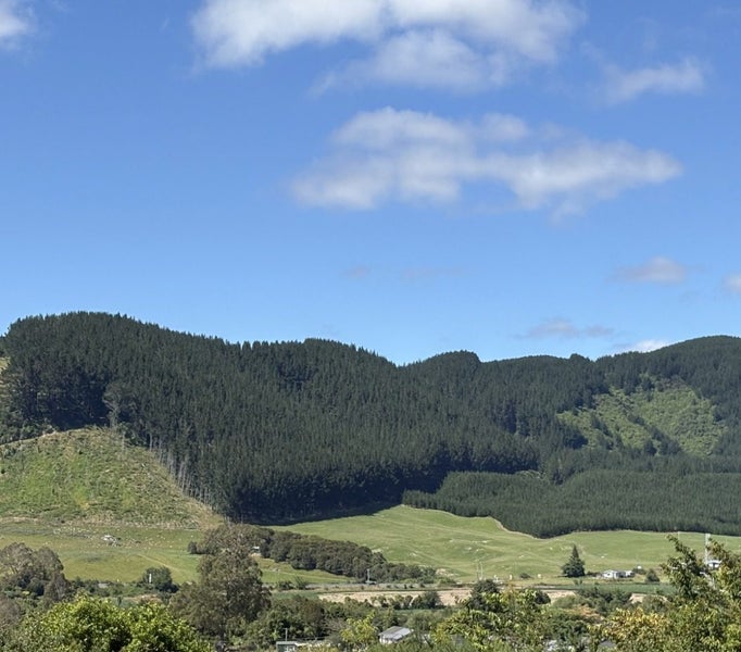 77 Hall Road, Ngongotaha, Rotorua - Carousel 2