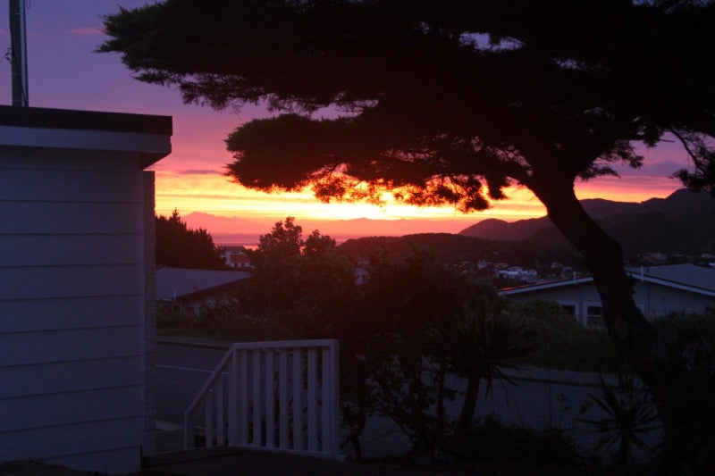 169 Buckley Road, Southgate, Wellington - Carousel 30