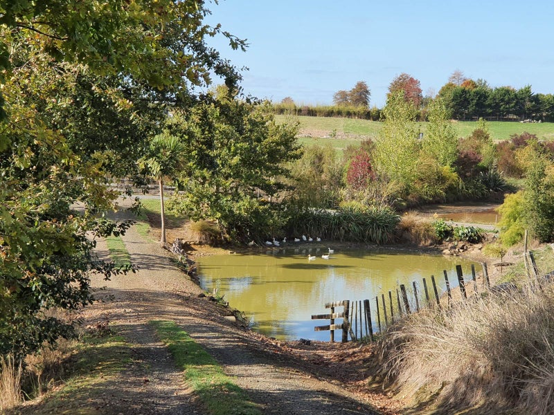 1239 Miranda Road, Pokeno - Carousel 1