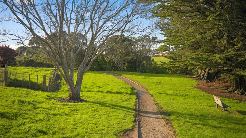 3 Emily Smith Road, Wai o Taiki Bay, Auckland - Carousel 22