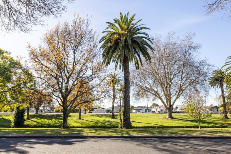 43 Douglas McLean Avenue, Marewa, Napier - Carousel 16