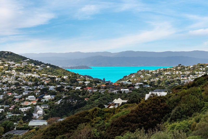 84 Downing Street, Crofton Downs, Wellington - Carousel 2