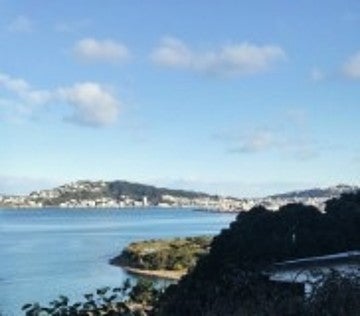 1 Brasch Way, Kaiwharawhara, Wellington - Carousel 2