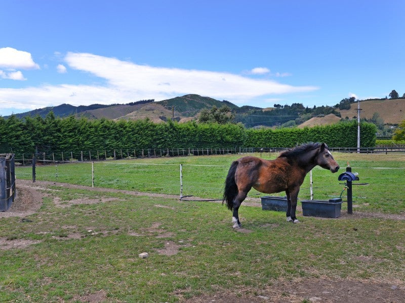 430 Paton Road, Hope, Richmond - Carousel 20