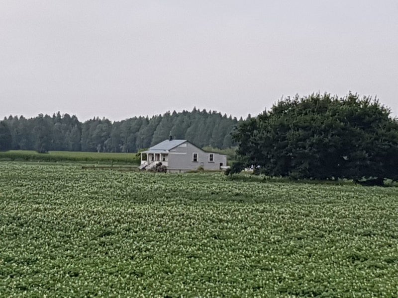 53 Mercer Ferry Road, Tuakau - Carousel 9