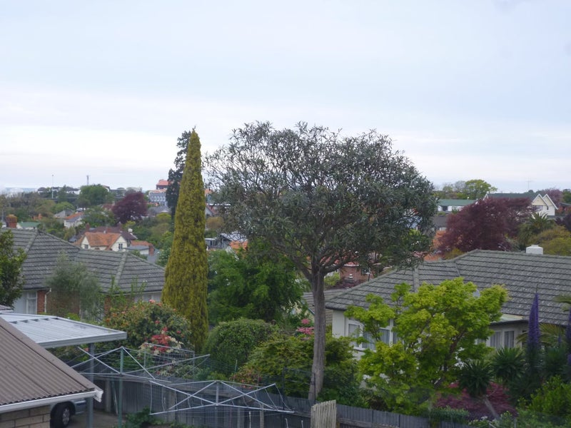 3/18 Trafalgar Street, Maori Hill, Timaru - Carousel 2