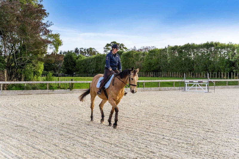 53 Percy Millen Drive, Waiau Pa, Pukekohe - Carousel 2