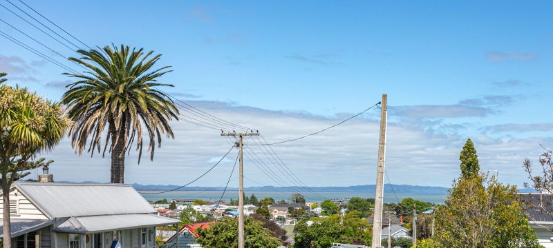 500 Augustus Street North, Thames, Thames - Carousel 33