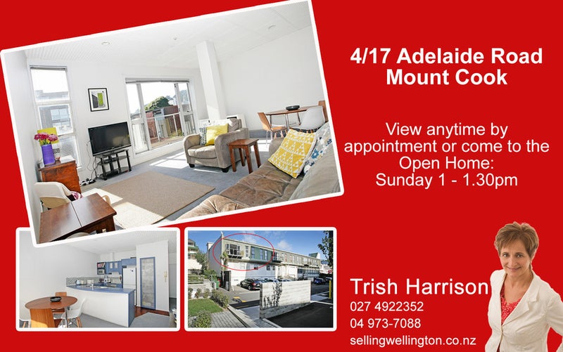 4/17 Adelaide Road, Mount Cook, Wellington - Carousel 17