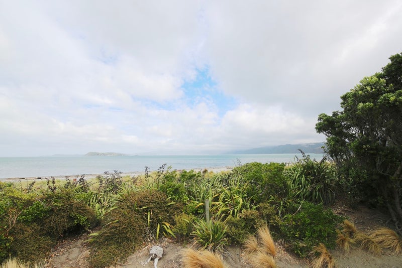 7 Waione Street, Petone, Lower Hutt - Carousel 13