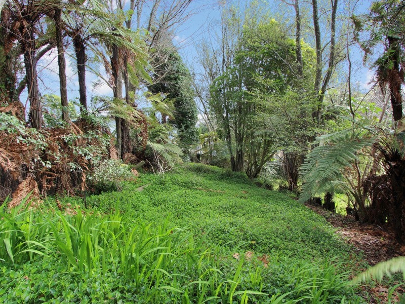 77 Alison Street, Mangakakahi, Rotorua - Carousel 19