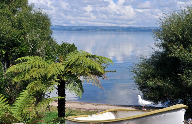 8 Parkcliff Road, Tikitere, Rotorua - Carousel 2