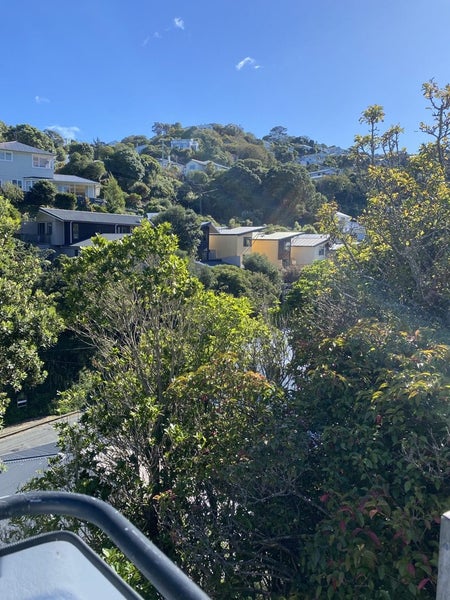 51 Liardet Street, Vogeltown, Wellington - Carousel 15