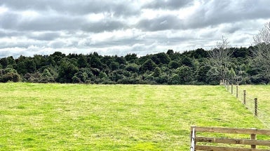 173 Mason Road, Seaward Bush, Invercargill - Carousel 1