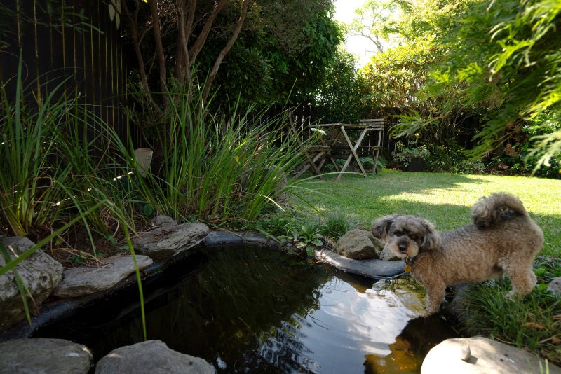 5A Streamdale Place, Ngongotahā, Rotorua - Carousel 19