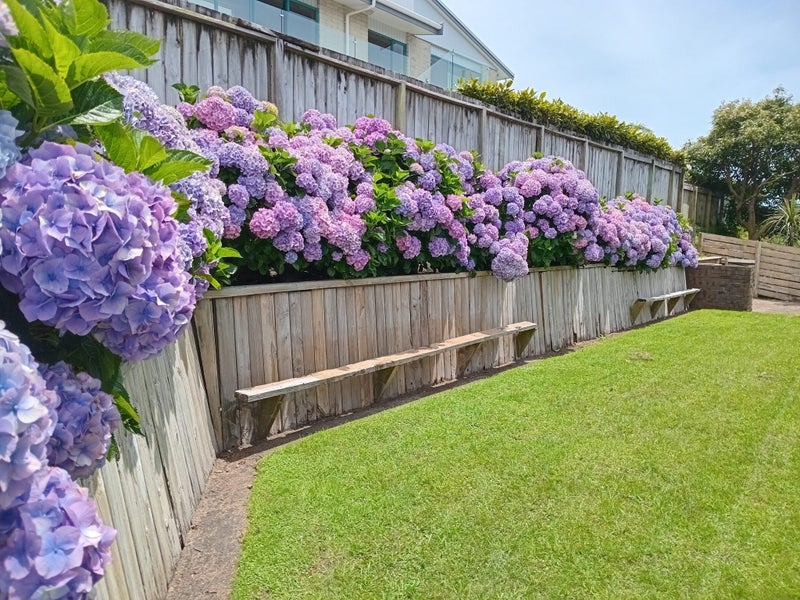 8 Julian Place, Westown, New Plymouth - Carousel 26