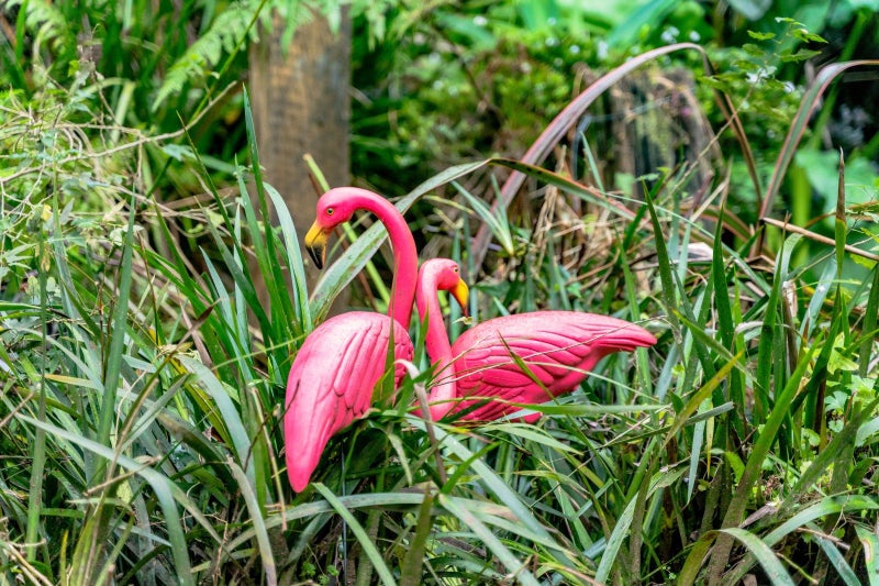 36 Kereru Grove, Greenhithe, Auckland - Carousel 2