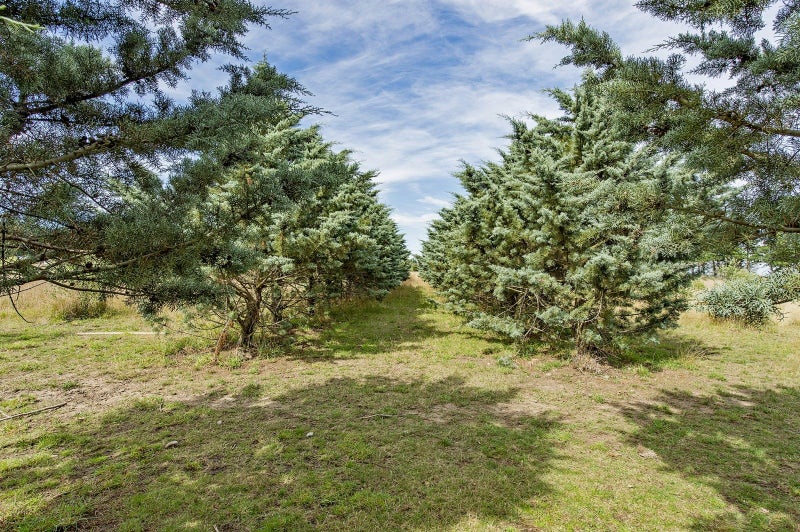 2181E South Eyre Road, Eyrewell, West Eyreton - Carousel 12