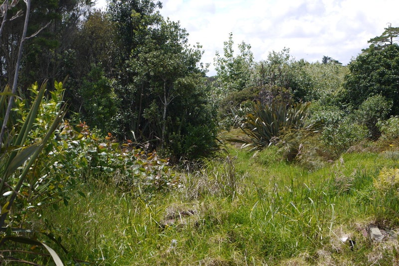 168 Run Road, Wharehine, Wellsford - Carousel 10