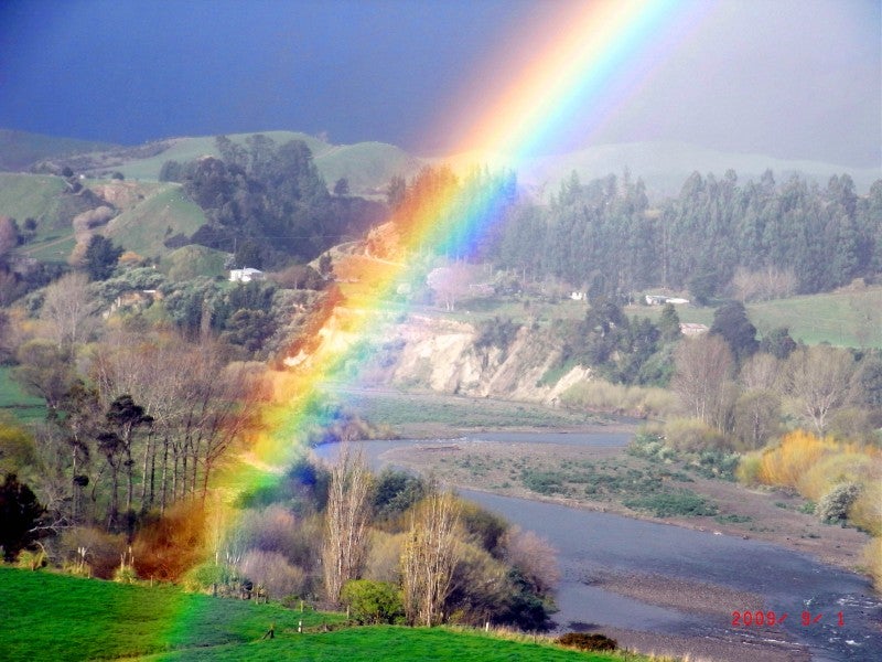 1591A Pohangina Road, Pohangina, Ashhurst - Carousel 20