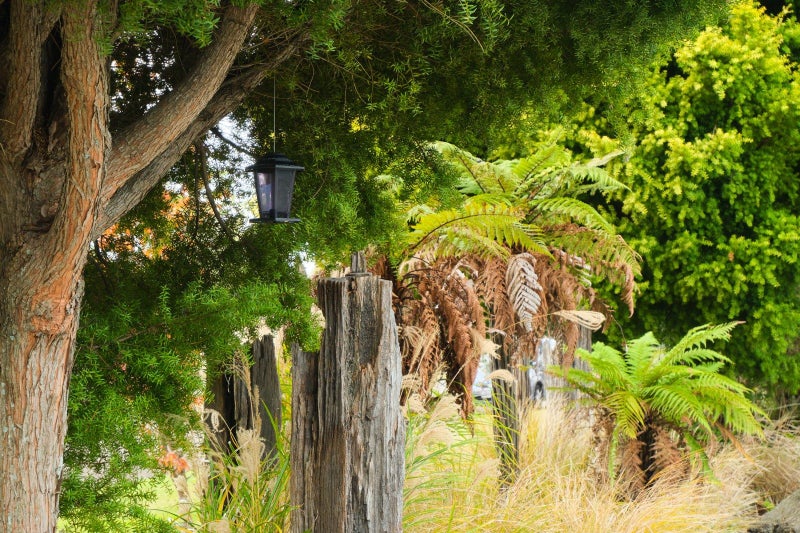 11 Glenfield Road, Owhata, Rotorua - Carousel 12