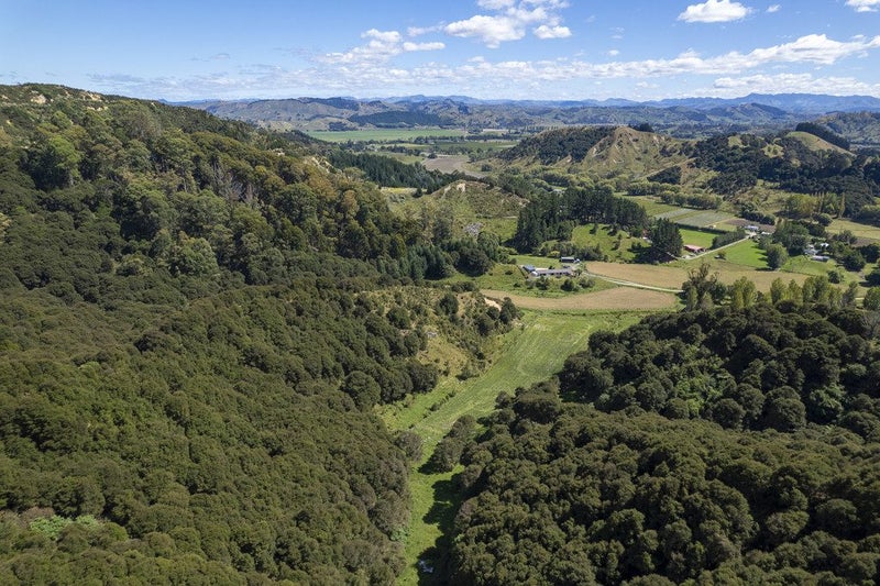 214 Ormond Valley Road, Ormond, Gisborne - Carousel 23