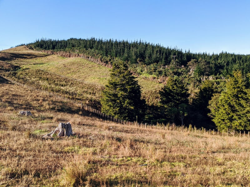 46 William James Lane, Makarau, Warkworth - Carousel 11