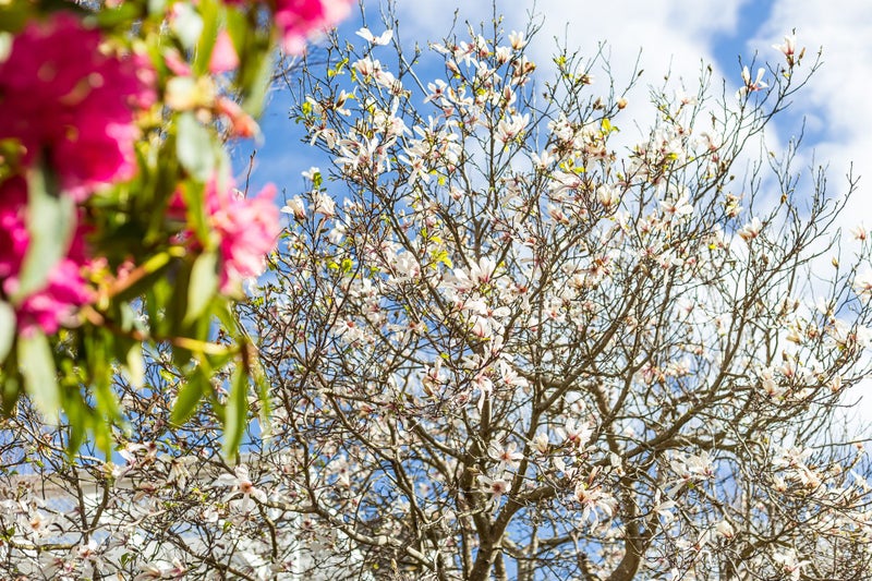 3 Bell Street, Tawa, Wellington - Carousel 23